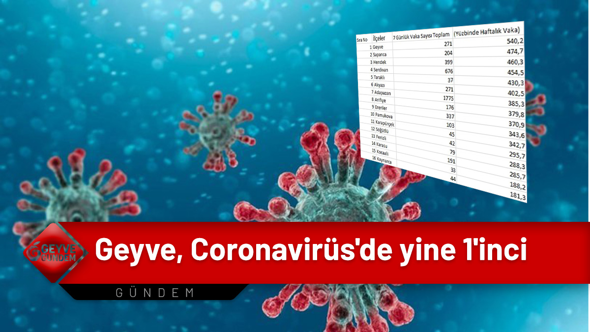 Geyve, Coronavirüs'da yine 1'inci