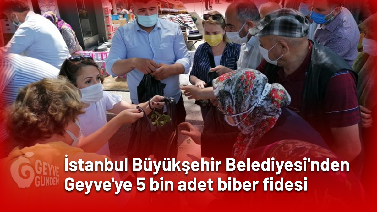 İstanbul Büyükşehir Belediyesi'nden Geyve'ye 5 bin adet biber fidesi