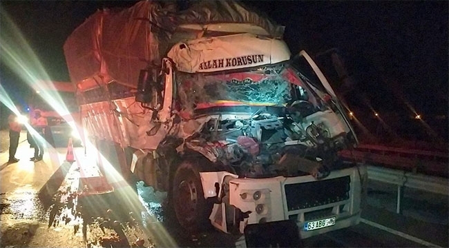 Pamukova'da kamyon TIR'a çarptı